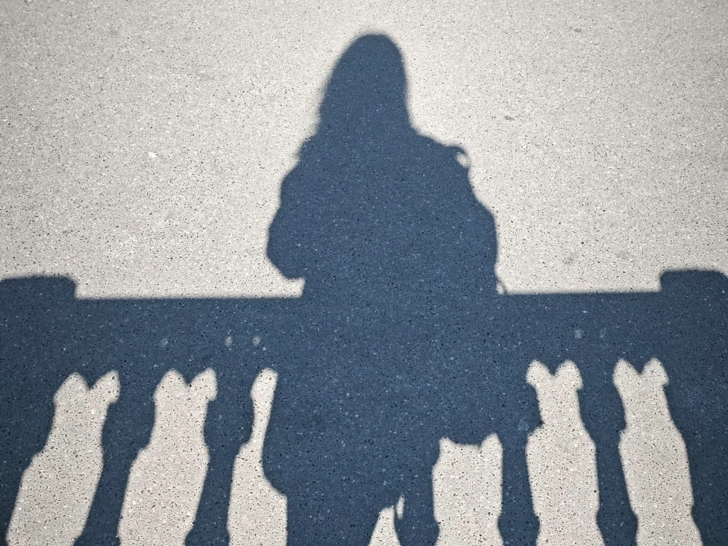 Wendy’s shadow crossing a sunlit railing